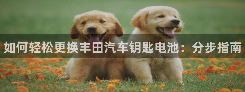 优发国际手机版唯一官网是什么