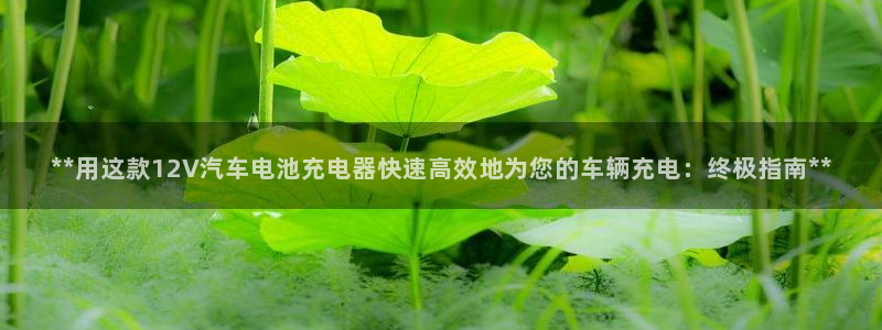 优发国际官方网手机版下载