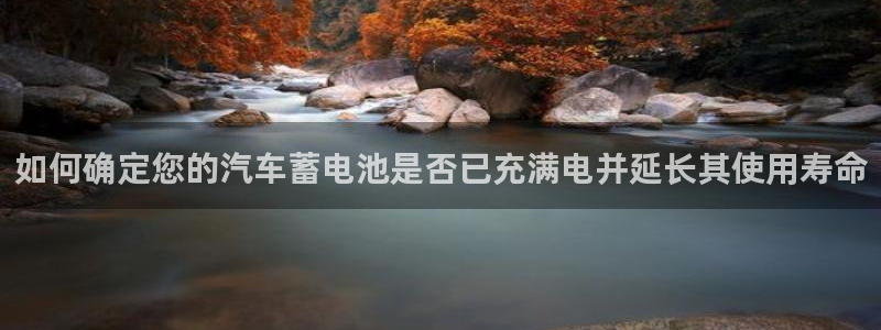优发国际平台18岁能做吗