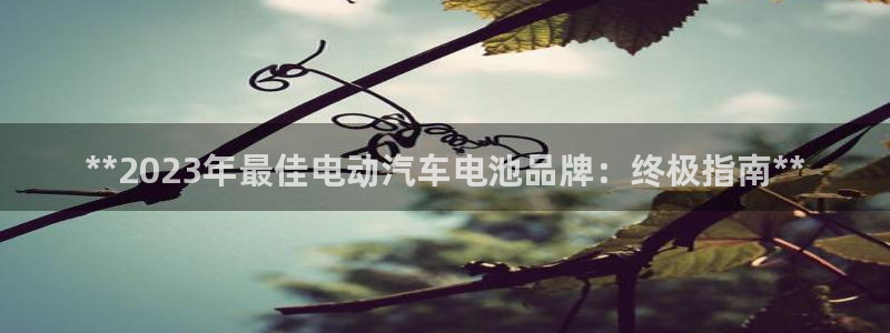 优发国际app官网下载安装苹果手机