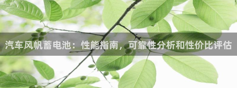 优发国际网官网17q8