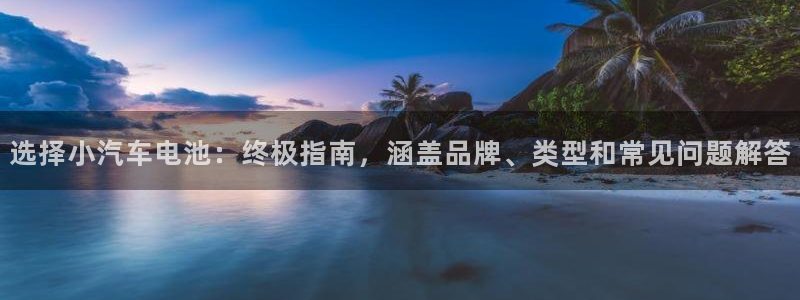 优发国际app登录不了：选择小汽车电池：终极指南，涵盖品牌、类型和常见问题解答