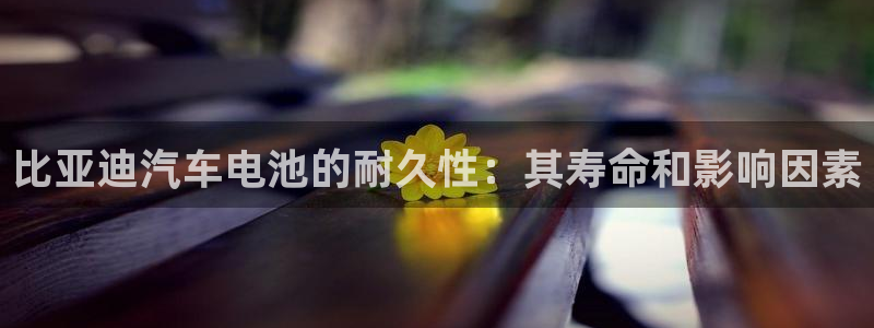 优发国际手机客户端