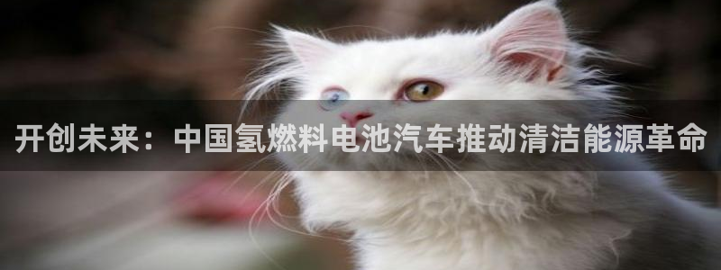 优发国际官网网站首页