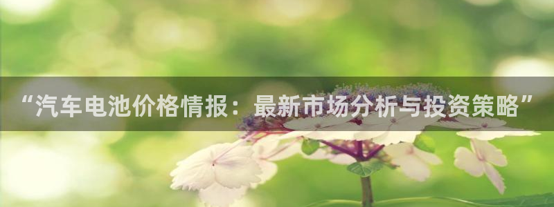 优发国际手机版下载：“汽车电池价格情报：最新市场分析与投资策略”