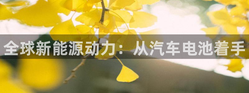 优发国际平台app下载官网：全球新能源动力：从汽车电池着手