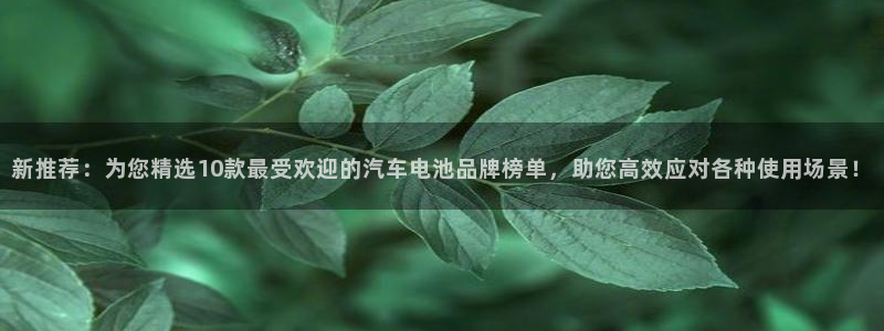 优发国际这个平台怎么样知乎：新推荐：为您精选10款最受欢迎的汽车电池品牌榜单，助您高效应对各种使用场景！