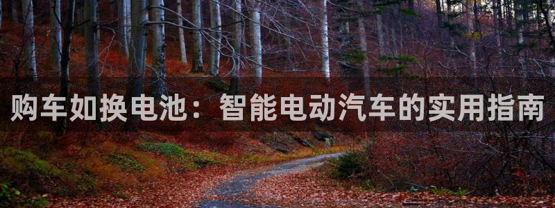 优发国际集团股份有限公司