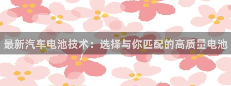 优发国际手机版唯一官网是什么：最新汽车电池技术：选择与你匹配的高质量电池