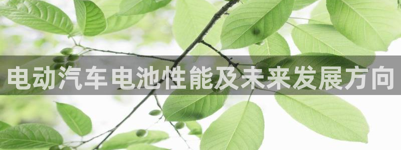 优发国际手机版：电动汽车电池性能及未来发展方向