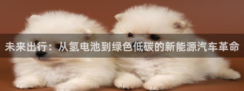 优发国际手机版网站入口：未来出行：从氢电池到绿色低碳的新能源汽车革命