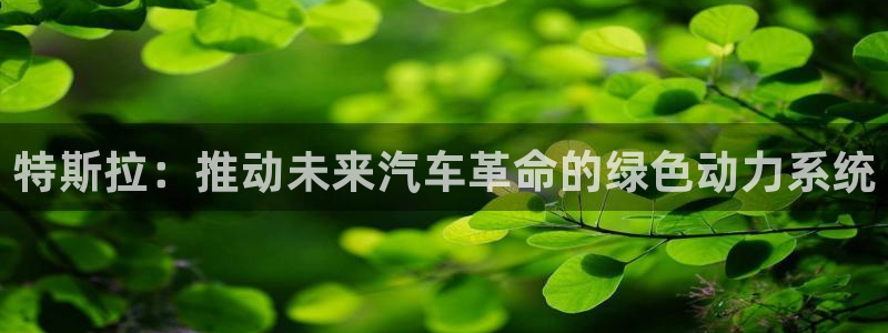 优发国际平台18岁能做吗：特斯拉：推动未来汽车革命的绿色动力系统