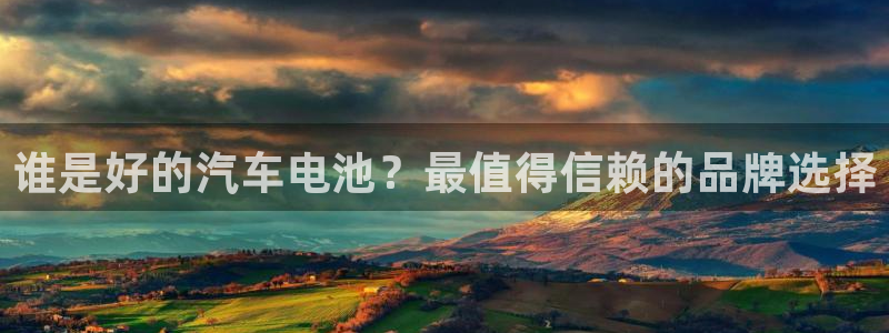 优发国际是不是黑网：谁是好的汽车电池？最值得信赖的品牌选择