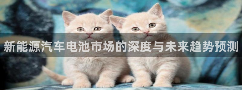优发国际的官网是什么软件：新能源汽车电池市场的深度与未来趋势预测