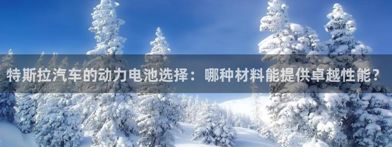 优发国际集团股份有限公司是国企吗：特斯拉汽车的动力电池选择：哪种材料能提供卓越性能？