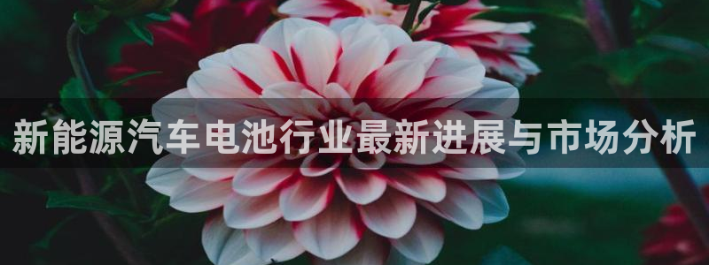 优发国际手机版下载