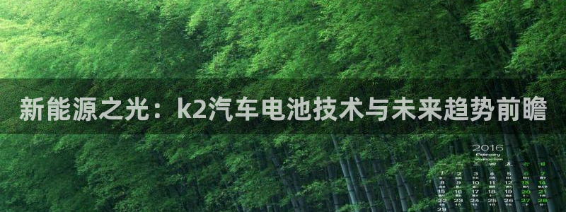 优发国际是真的吗：新能源之光：k2汽车电池技术与未来趋势前瞻