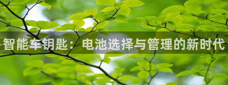 优发国际注册平台怎么样：智能车钥匙：电池选择与管理的新时代