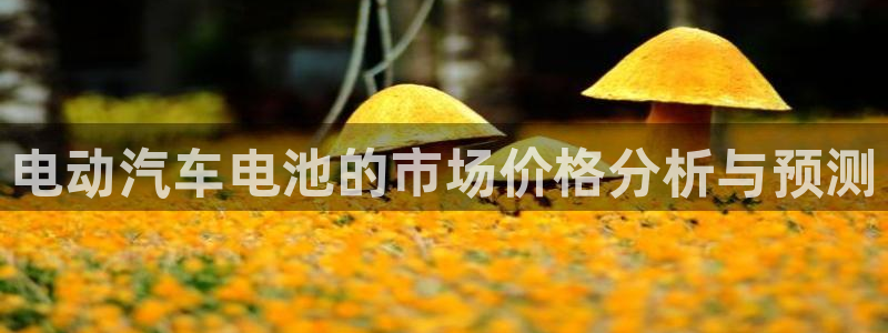 优发国际怎么样：电动汽车电池的市场价格分析与预测