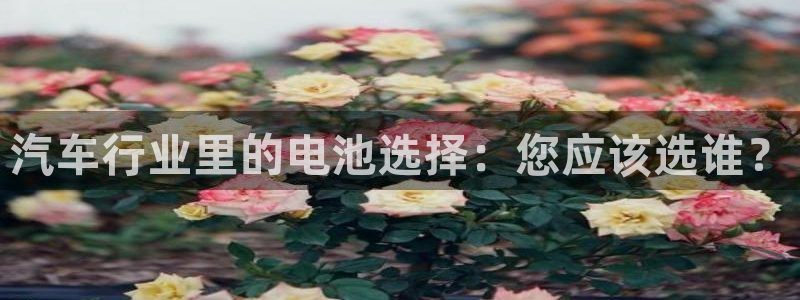 优发国际手机app下载安装最新版