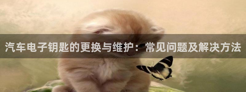 优发国际登录l8