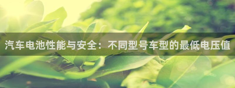 优发国际手机版唯一官网