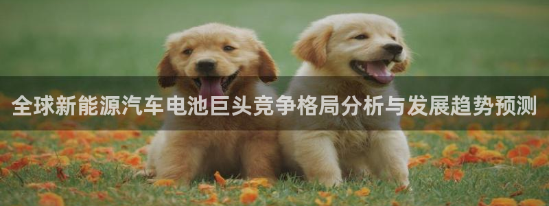 优发国际网站官网