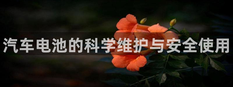 优发国际是大平台吗知乎