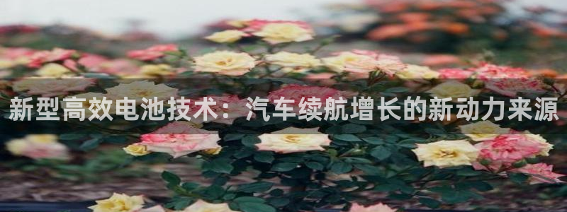 优发国际VIP网址