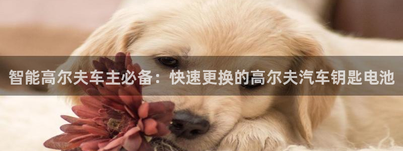 优发国际官网是多少