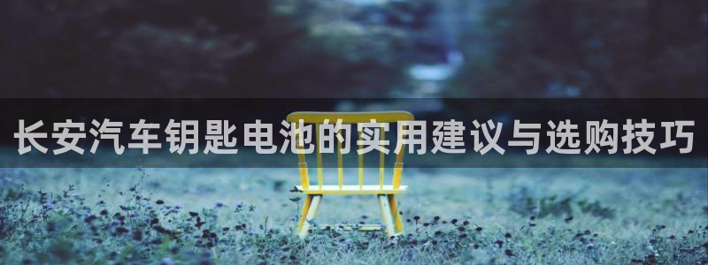 优发国际游戏官方网站：长安汽车钥匙电池的