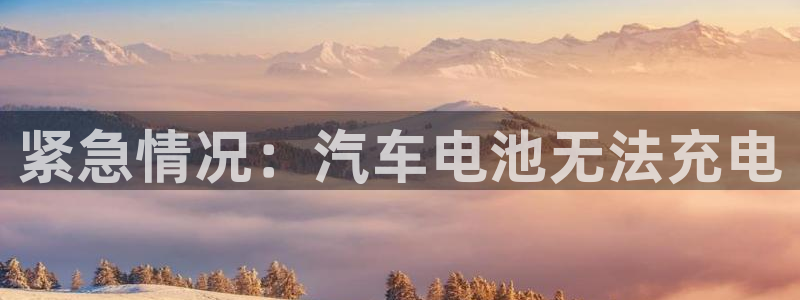优发国际官方网平台登录：紧急情况：汽车电池无法充电