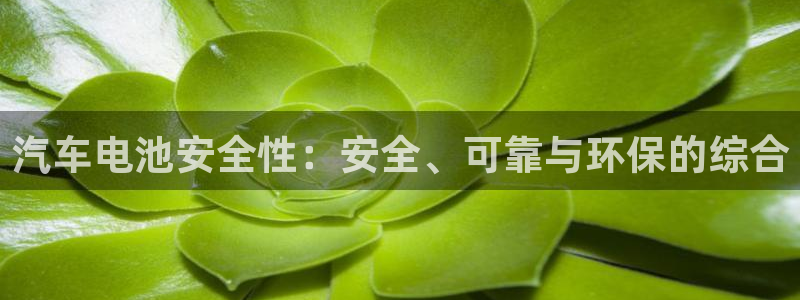 优发国际这个平台怎么样可靠吗：汽车电池安全性：安全、可靠与环保的综合