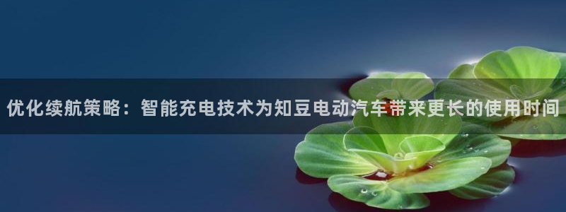 优发国际线上娱官网：优化续航策略：智能充电技术为知豆电动汽车带来更长的使用时间