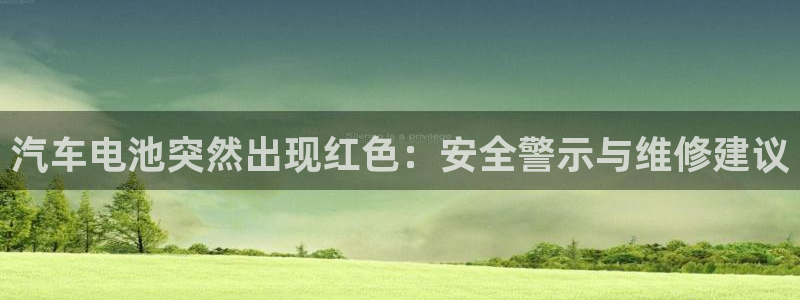 优发国际是不是黑网：汽车电池突然出现红色：安全警示与维修建议