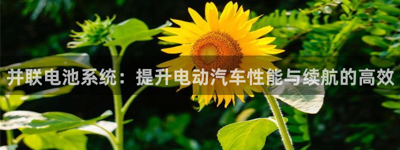 优发国际官网入口app下载：并联电池系统：提升电动汽车性能与续航的高效