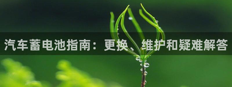 优发国际官方网平台登录