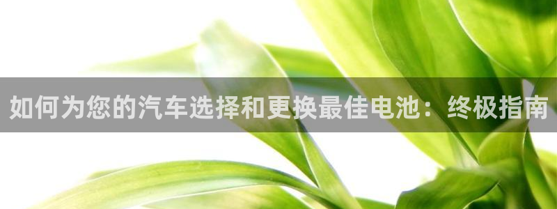 优发国际平台手机版下载安装