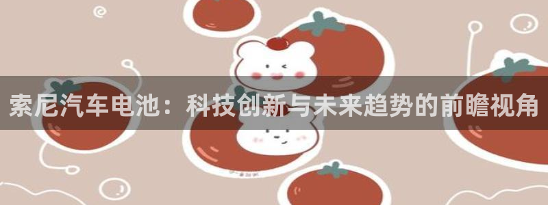优发国际网站多少：索尼汽车电池：科技创新