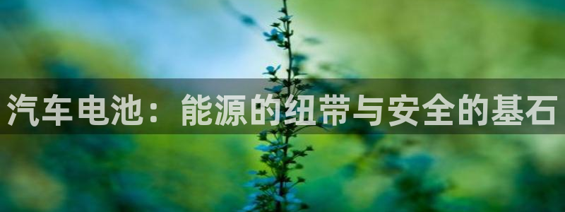 优发国际合并到哪里了啊