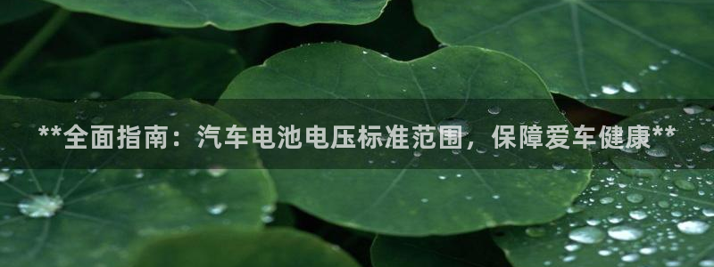 优发国际平台手机版下载官网