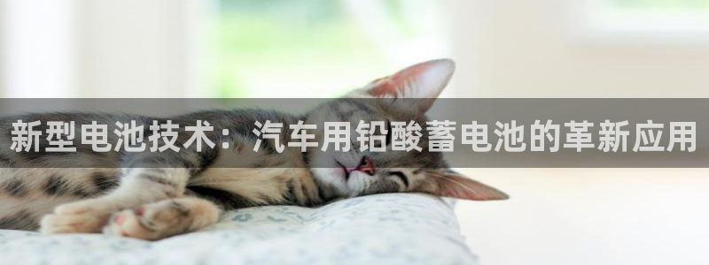 优发国际一首页
