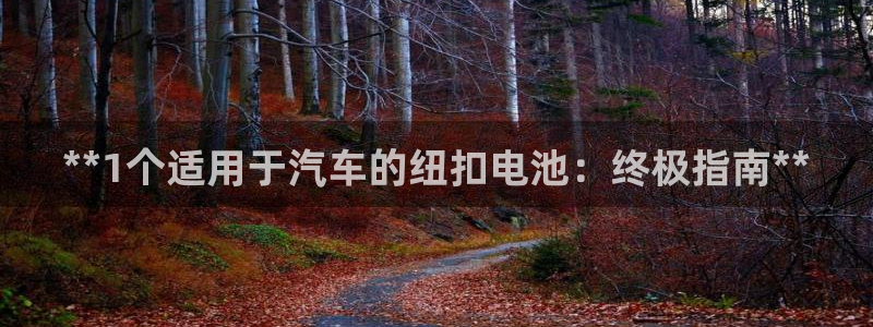 优发国际登录168：**1个适用于汽车的纽扣电池：终极指南**