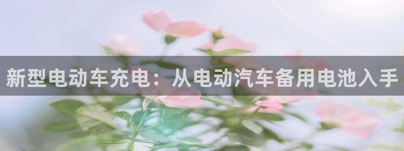 优发国际是大平台吗：新型电动车充电：从电动汽车备用电池入手