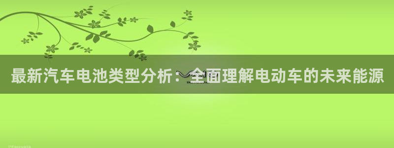 优发国际官方网手机版：最新汽车电池类型分析：全面理解电动车的未来能源