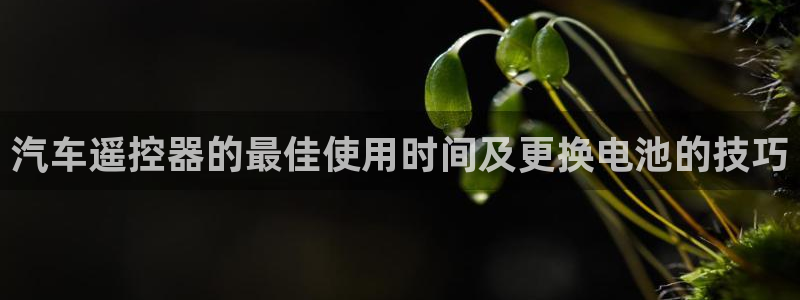 优发国际官方网平台是正品吗