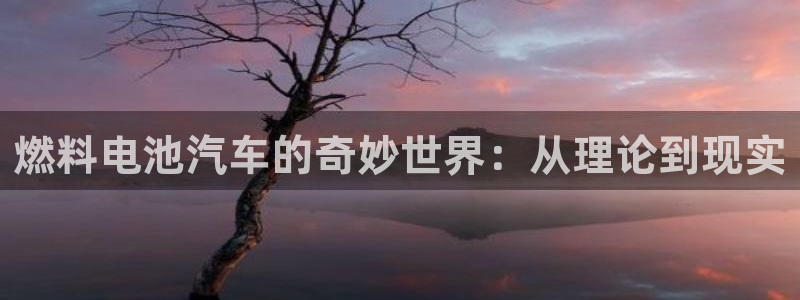 优发国际这个平台怎么样可靠吗：燃料电池汽