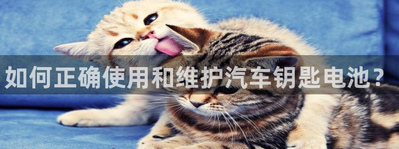 优发国际网官网17w80是什么